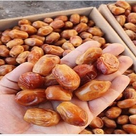خرید و قیمت خرمای قصب بوشهر + فروش صادراتی